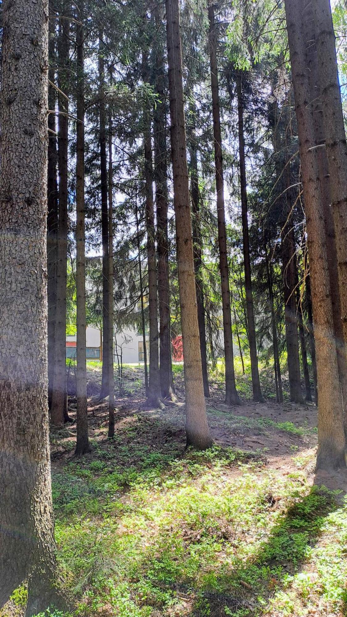 הַרָכוֹב Plne Vybaveny Apartman Pod Mumlavskym Vodopadem, Zahrada S Ohnistem, Idealni Vychozi Bod Pro Turistiku, U Cesty Na Hrebeny, Kousek Do Centra, Absolutni Klid, Vybaveny I Pro Deti, Wellness A Fitko Naproti מראה חיצוני תמונה